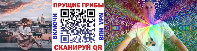 Псилоцибиновые грибы ЛСД  Купить где  Цоци-Юрт 